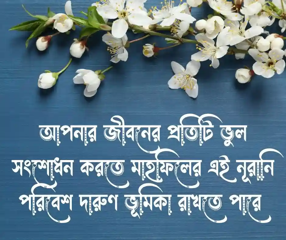 ১৫টি মাহফিল নিয়ে ইসলামিক স্ট্যাটাস (2)