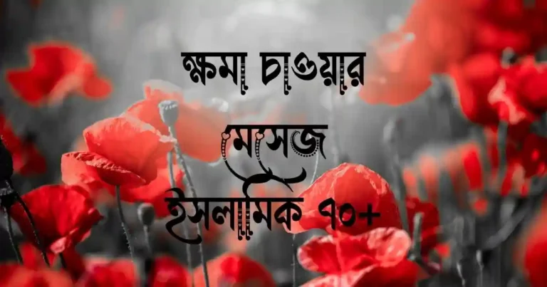 ক্ষমা চাওয়ার মেসেজ ইসলামিক ৭০+