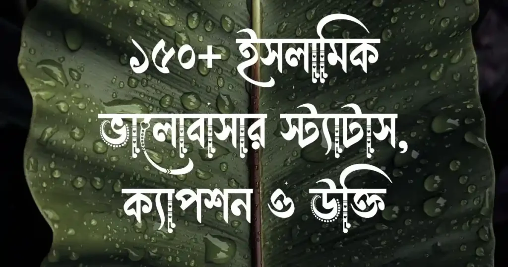 ১৫০+ ইসলামিক ভালোবাসার স্ট্যাটাস, ক্যাপশন ও উক্তি