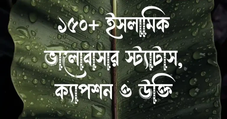 ১৫০+ ইসলামিক ভালোবাসার স্ট্যাটাস, ক্যাপশন ও উক্তি
