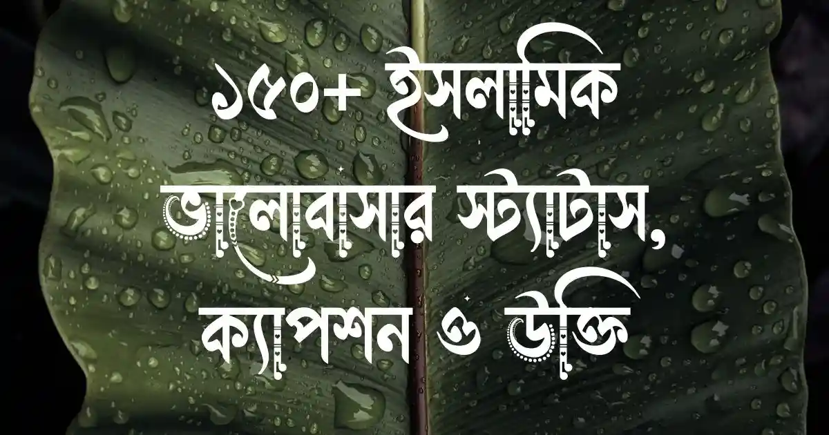 ১৫০+ ইসলামিক ভালোবাসার স্ট্যাটাস, ক্যাপশন ও উক্তি