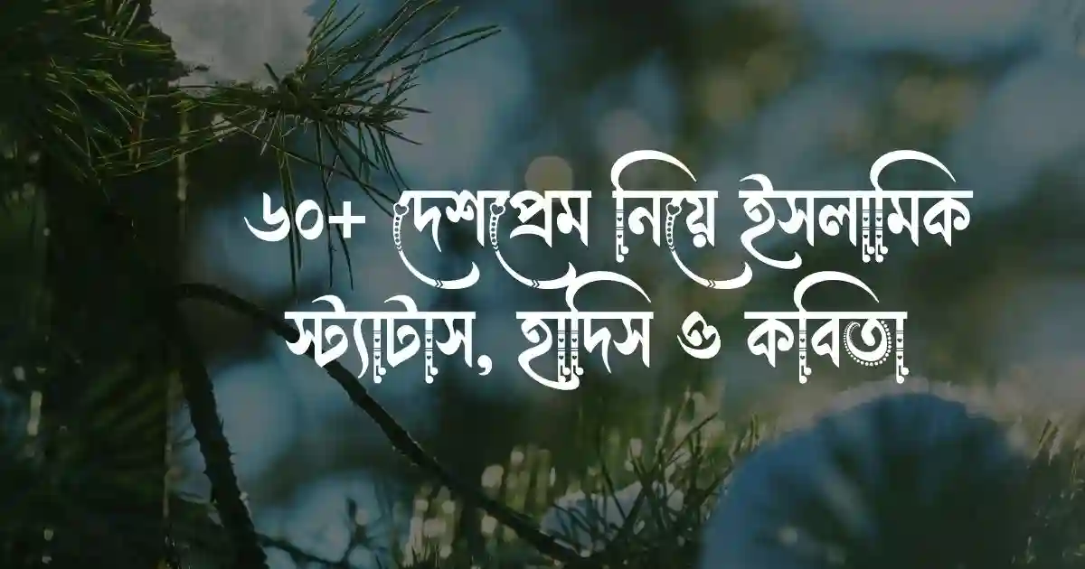 ৬০+ দেশপ্রেম নিয়ে ইসলামিক স্ট্যাটাস, হাদিস ও কবিতা 