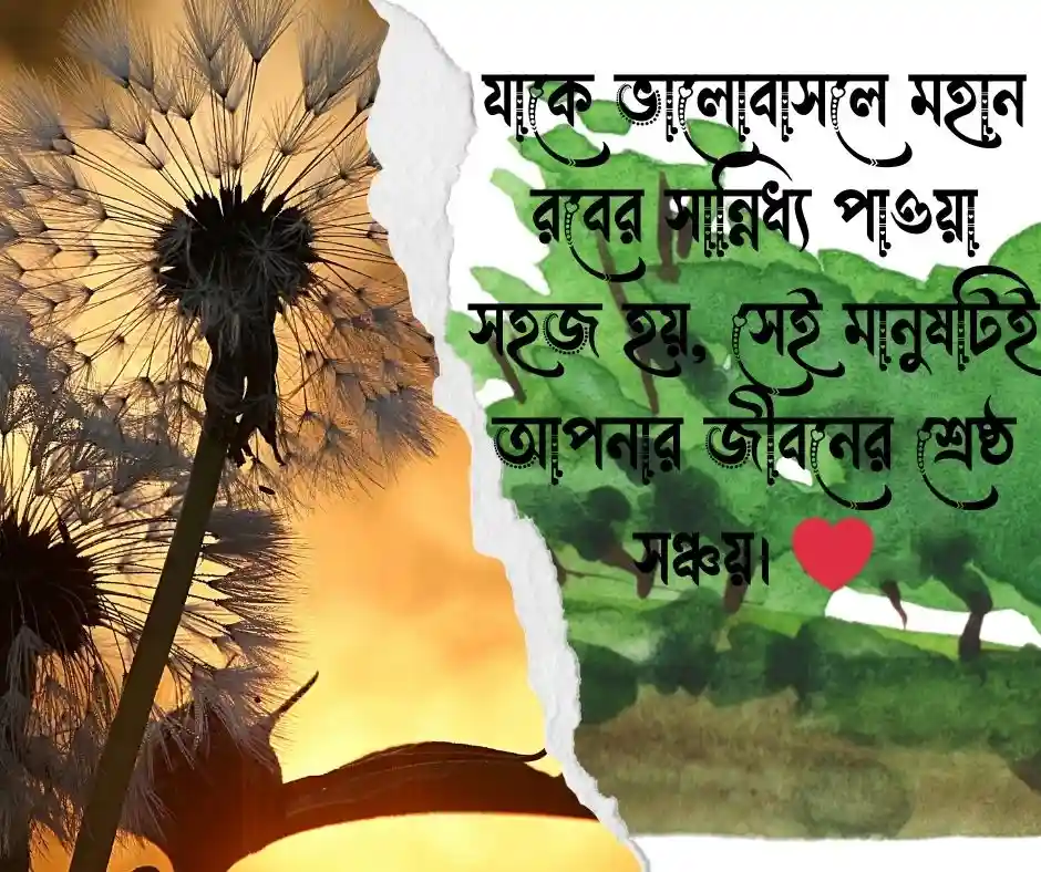 ইসলামিক ভালোবাসার উক্তি - ভালোবাসা নিয়ে উক্তি