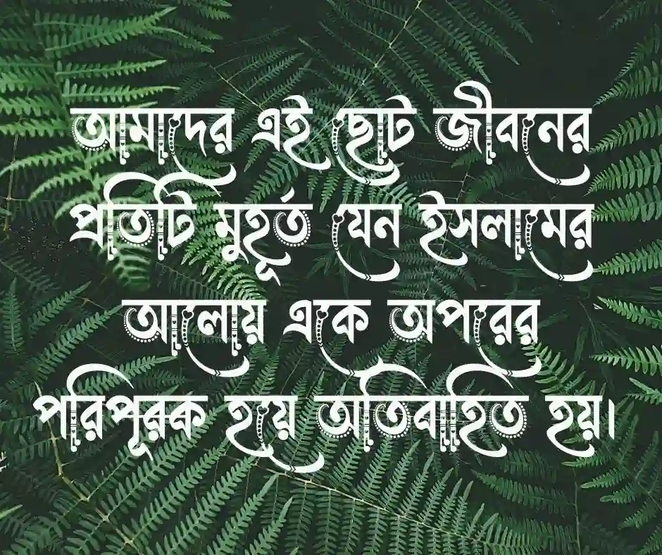 ইসলামিক ভালোবাসার স্ট্যাটাস (1)