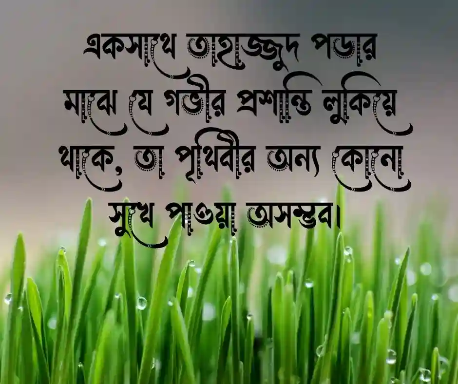 ইসলামিক ভালোবাসার স্ট্যাটাস