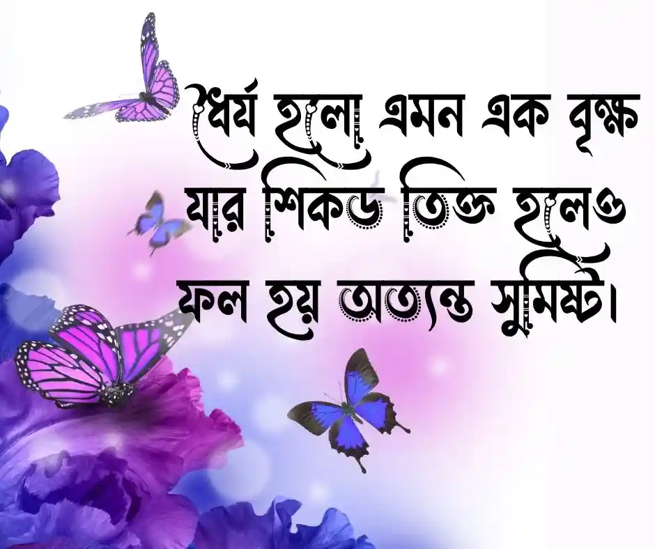 ইসলামিক শিক্ষনীয় স্ট্যাটাস