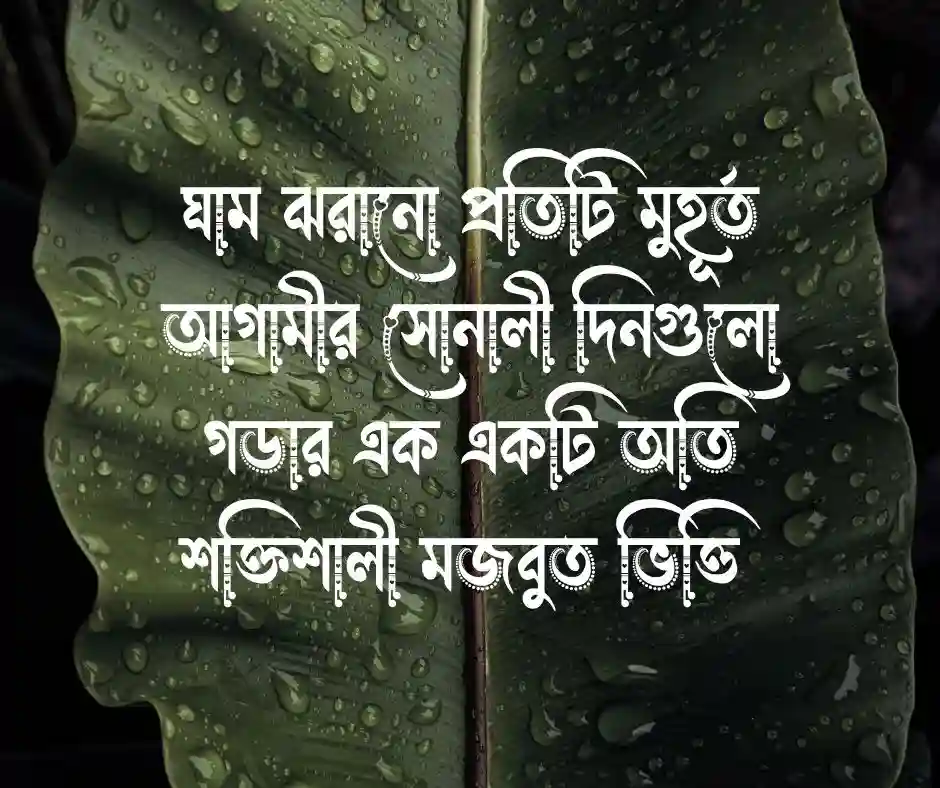 কঠোর পরিশ্রম কর্ম নিয়ে উক্তি