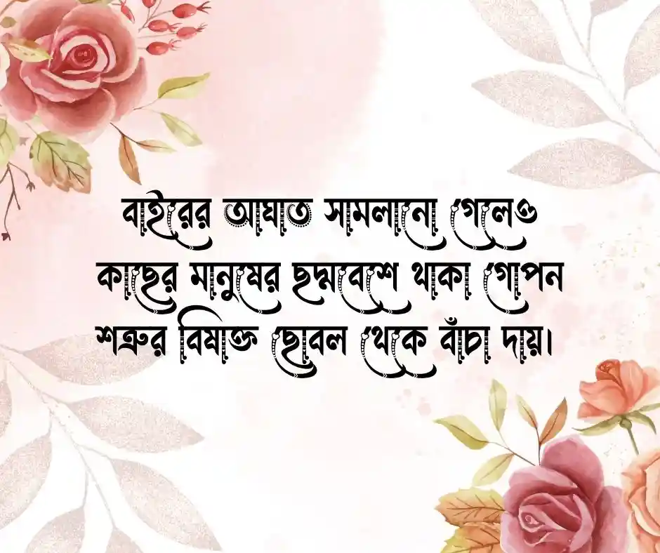 গোপন শত্রু নিয়ে উক্তি