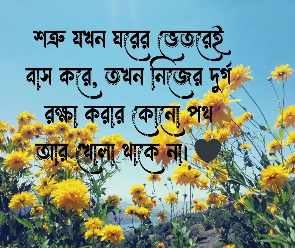 ঘরের শত্রু নিয়ে উক্তি