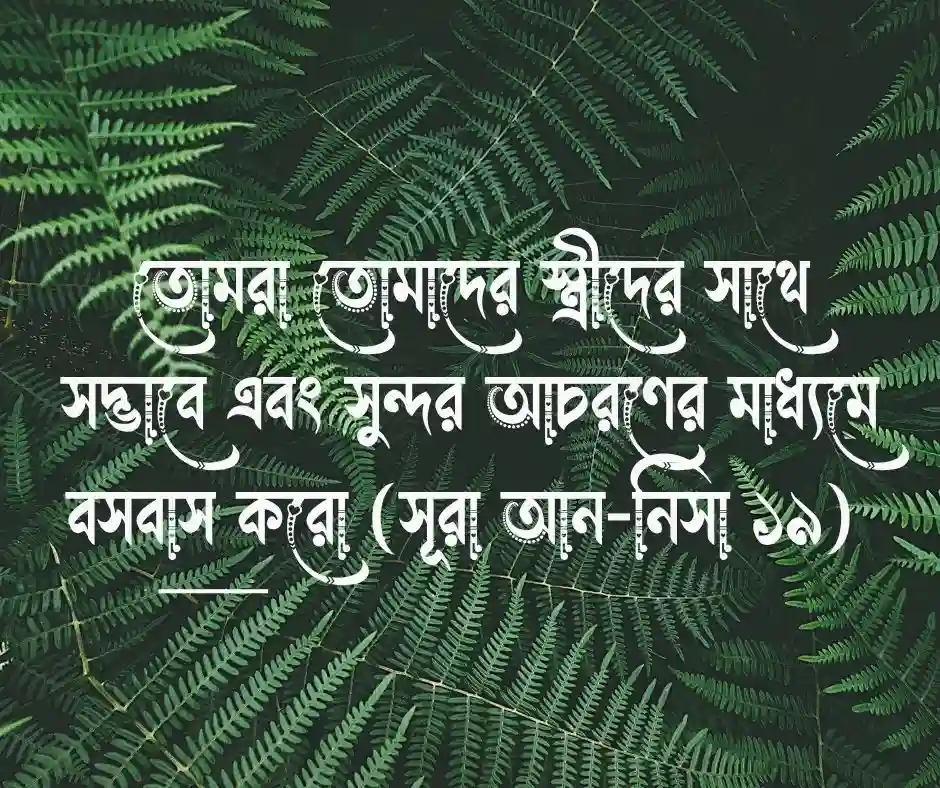 দাম্পত্য জীবন নিয়ে কোরআনের আয়াত