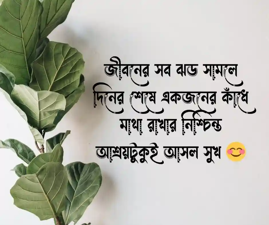 দাম্পত্য জীবন নিয়ে স্ট্যাটাস - দাম্পত্য জীবন নিয়ে ক্যাপশন