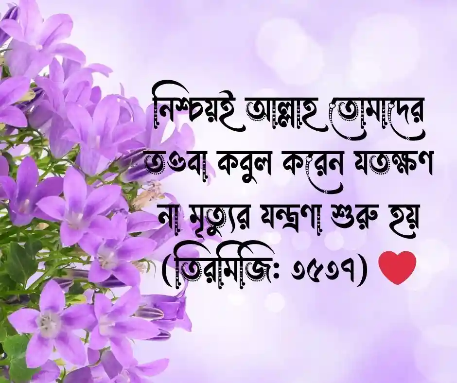 দৈনন্দিন জীবন নিয়ে ছোট ছোট হাদিস