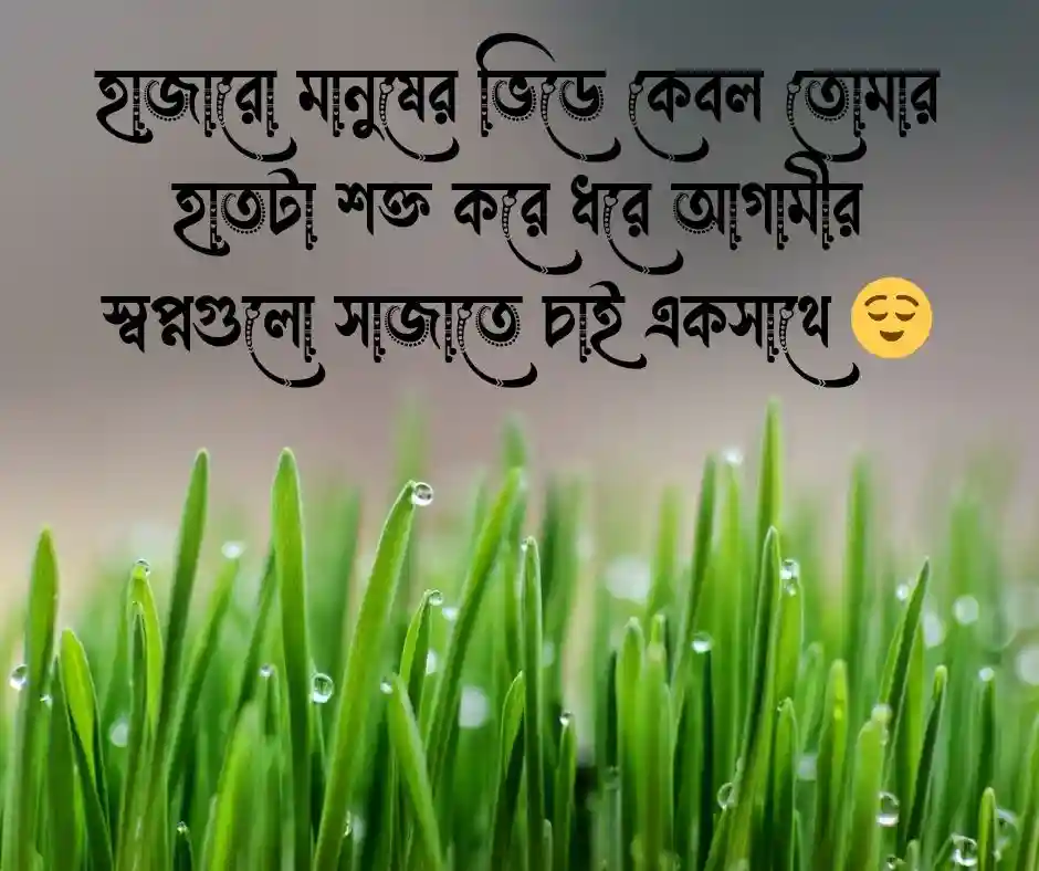 নতুন দাম্পত্য জীবন নিয়ে স্ট্যাটাস