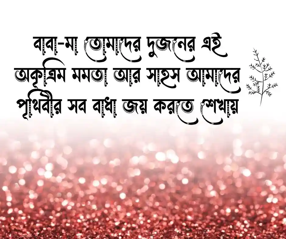 বাবা-মার বিবাহ বার্ষিক শুভেচ্ছা