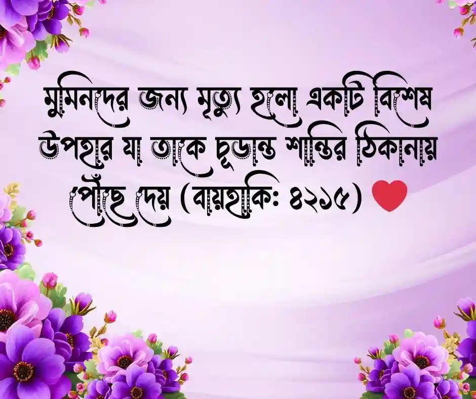 মৃত্যু নিয়ে ছোট হাদিস