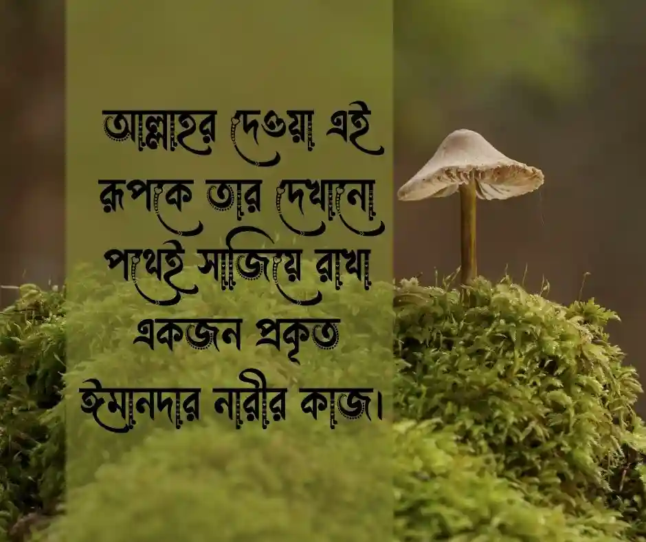 মেয়েদের চুল নিয়ে ইসলামিক উক্তি (1)