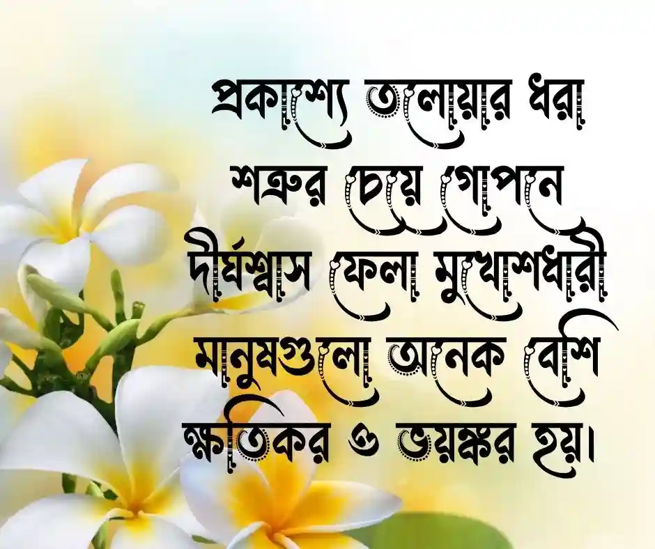 শত্রু নিয়ে ক্যাপশন - শত্রু নিয়ে স্ট্যাটাস