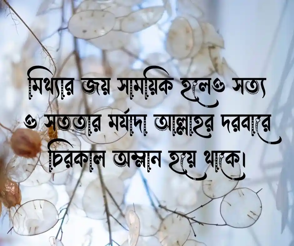সততা নিয়ে ইসলামিক উক্তি
