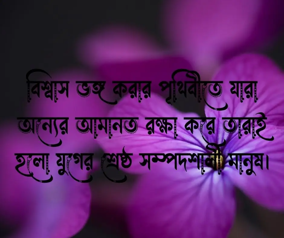 সততা নিয়ে উক্তি