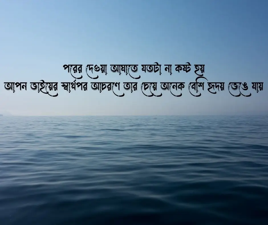 স্বার্থপর ভাই নিয়ে উক্তি