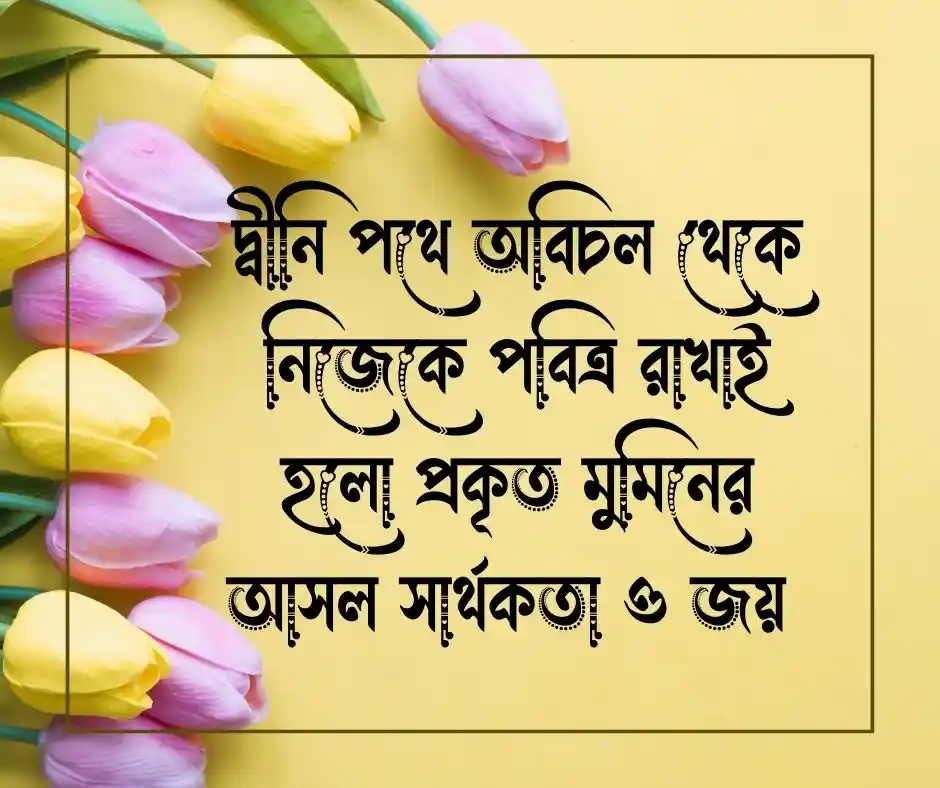 হারাম প্রেম নিয়ে ইসলামিক স্ট্যাটাস (1)
