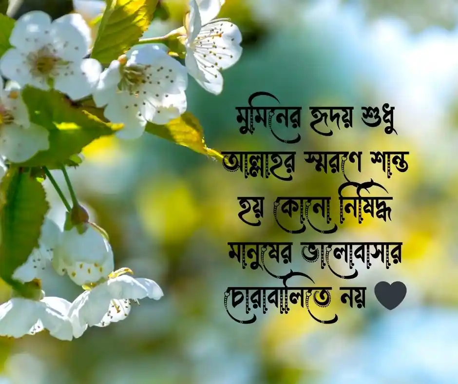 হারাম প্রেম নিয়ে ইসলামিক স্ট্যাটাস
