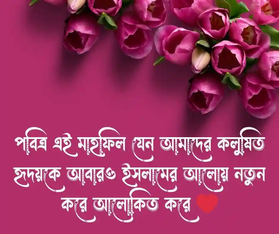 ১৫টি মাহফিল নিয়ে ইসলামিক স্ট্যাটাস