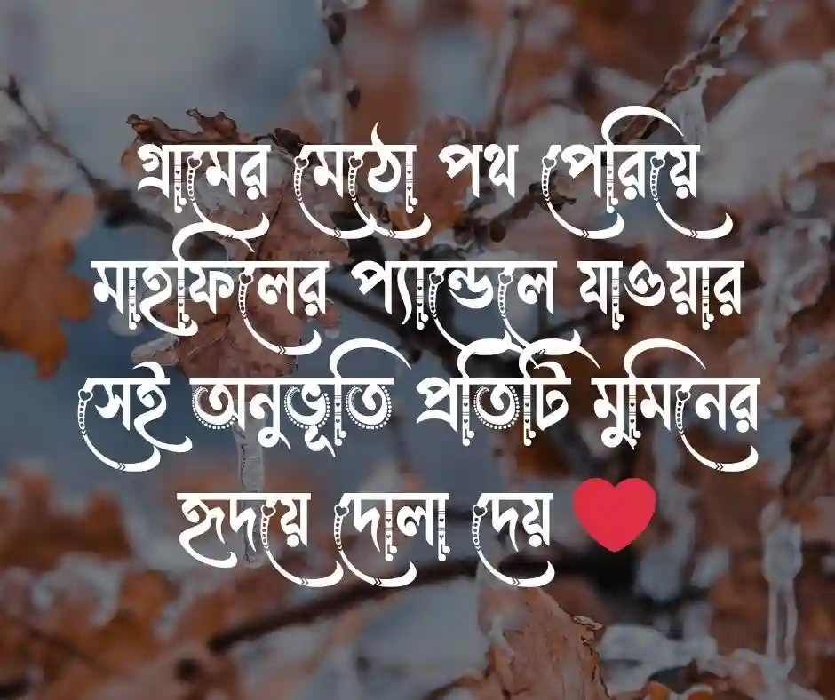 ১৫টি মাহফিল নিয়ে স্ট্যাটাস