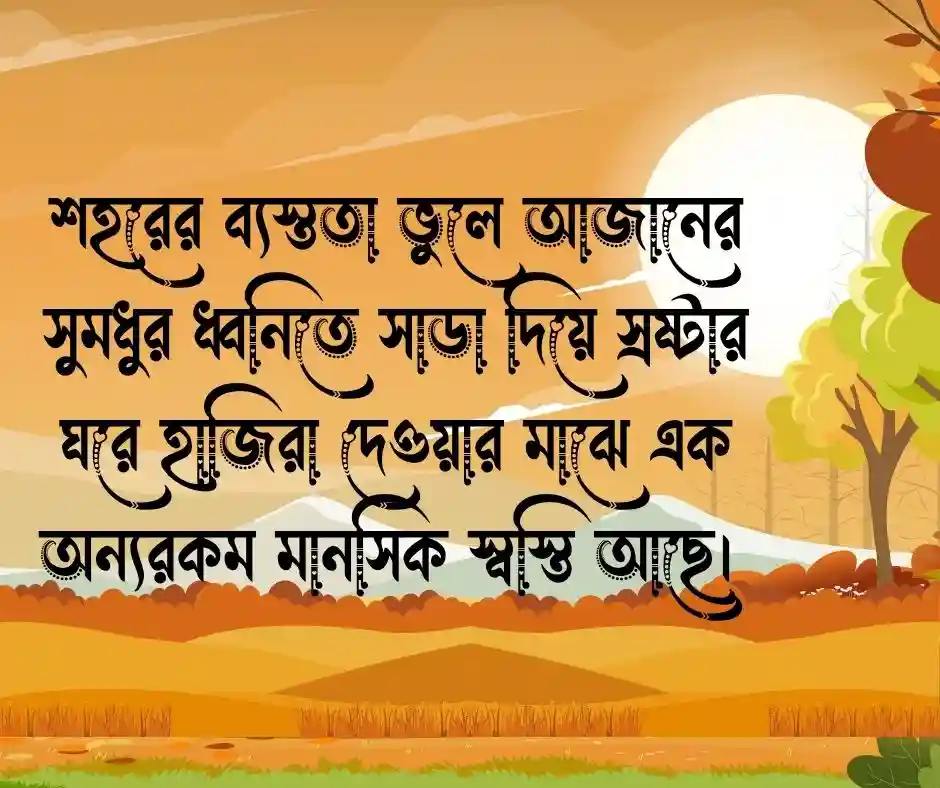 ১৫ টি মসজিদ নিয়ে ক্যাপশন