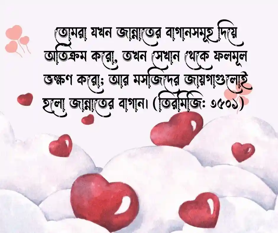 ১৫ টি মসজিদ নিয়ে হাদিস