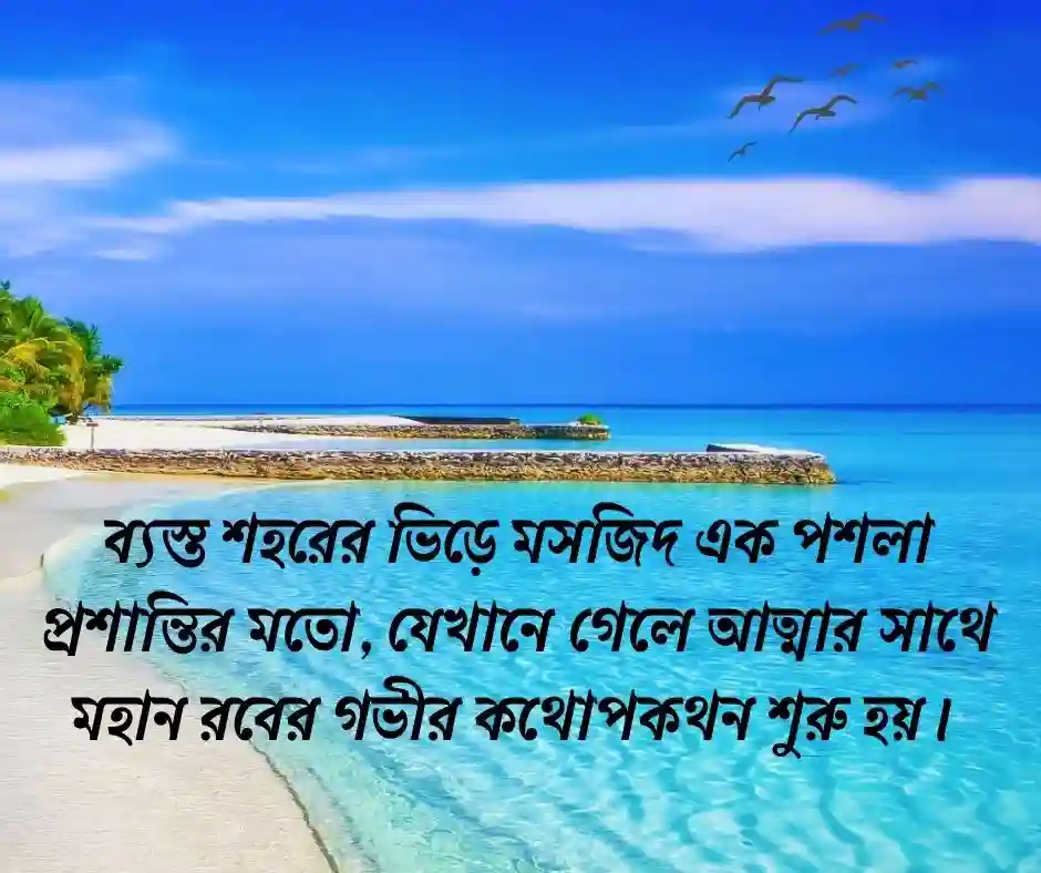 ২০ টি মসজিদ নিয়ে ইসলামিক উক্তি
