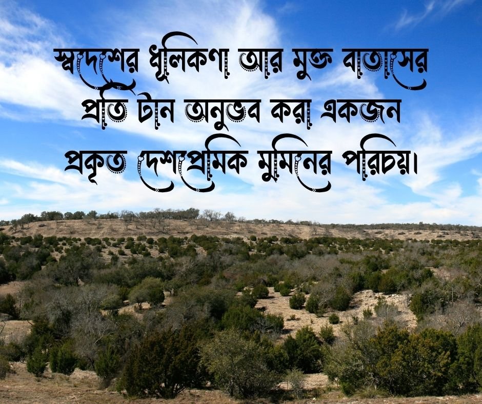 দেশপ্রেম নিয়ে ইসলামিক স্ট্যাটাস