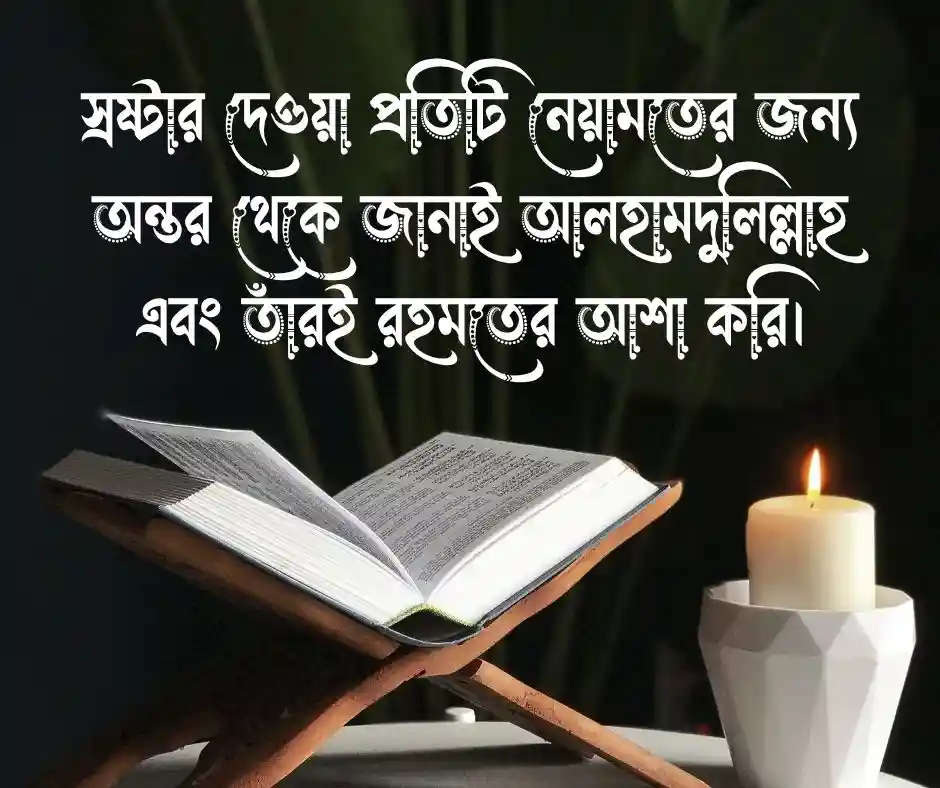 ইসলামিক স্টাইলিশ বায়ো সমূহ