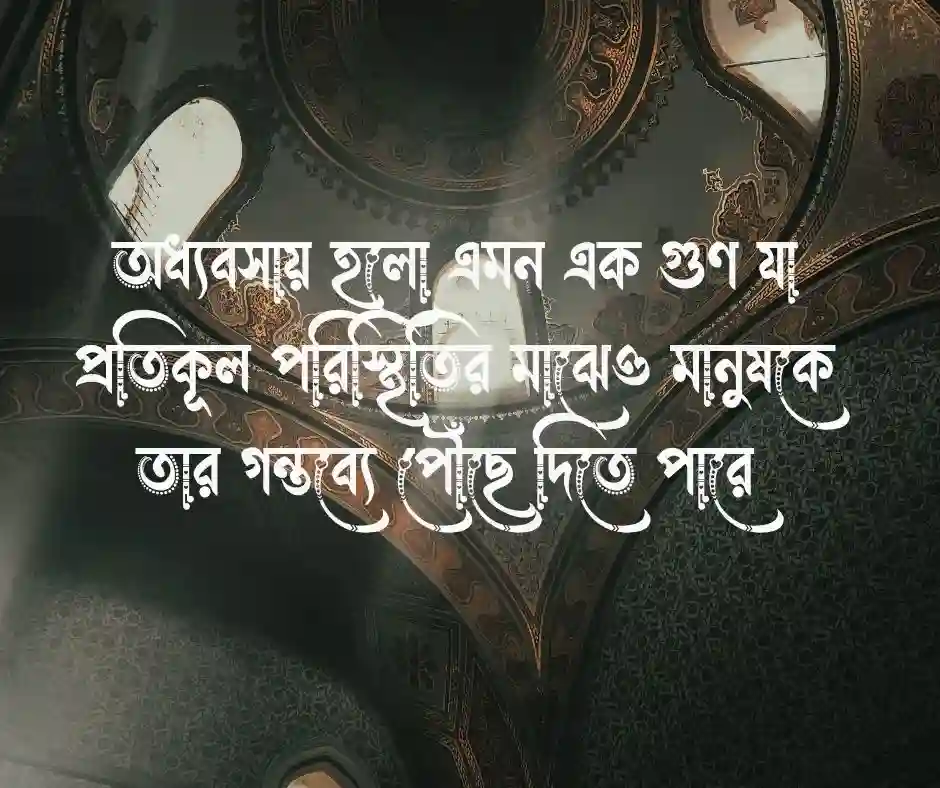 অধ্যবসায় নিয়ে স্ট্যাটাস