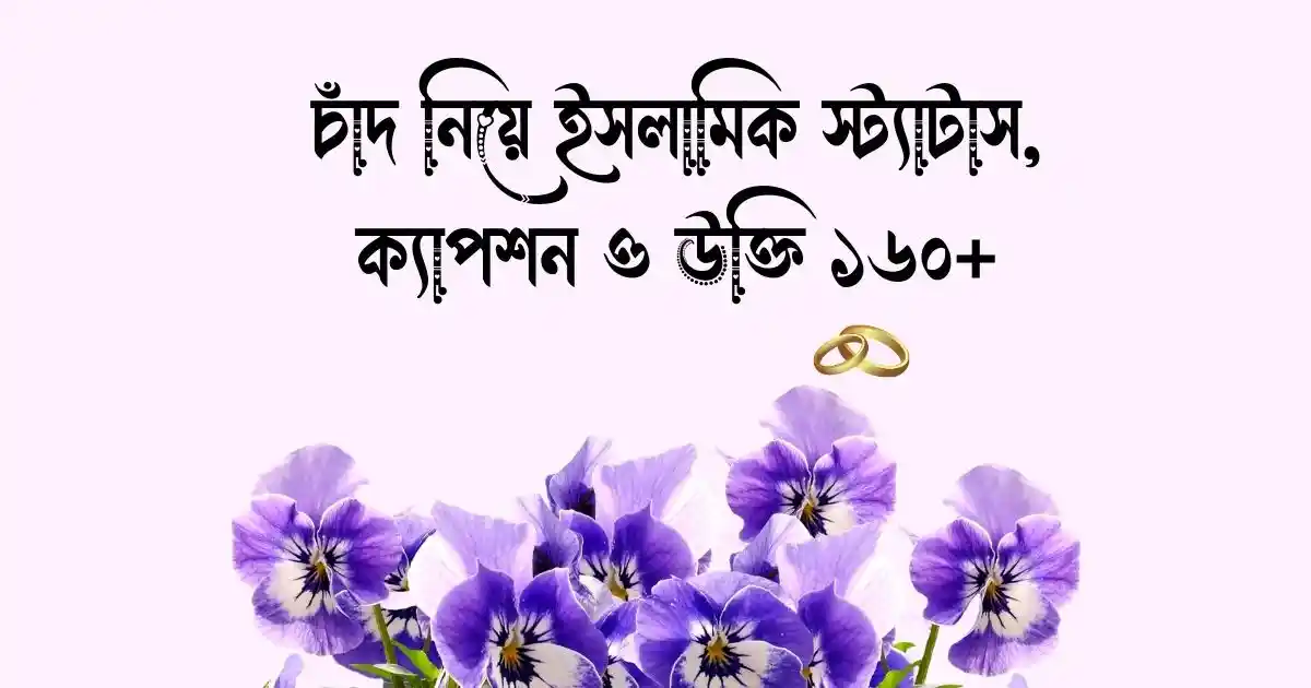 চাঁদ নিয়ে ইসলামিক স্ট্যাটাস, ক্যাপশন ও উক্তি ১৬০+