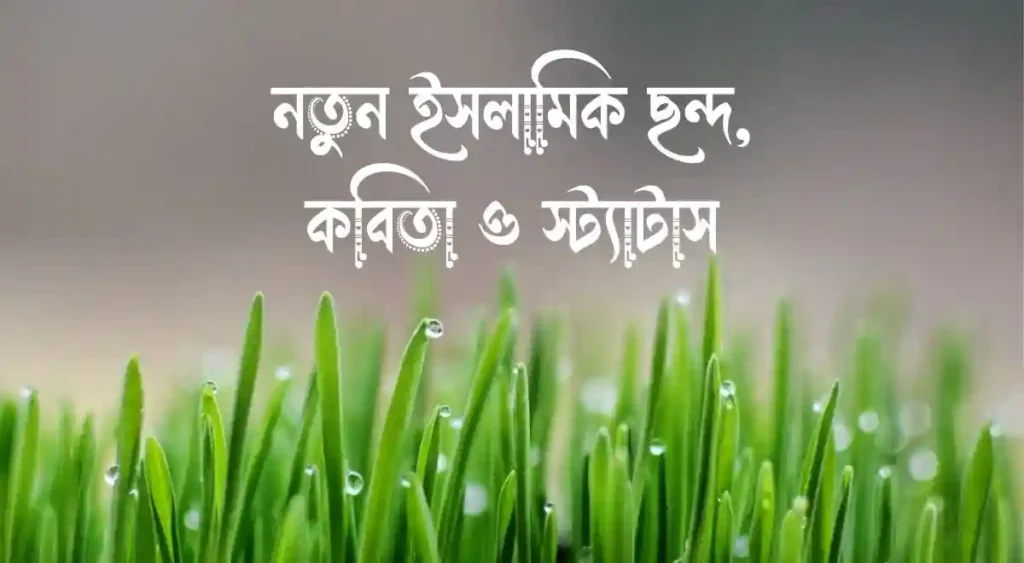 নতুুন ইসলামিক ছন্দ, কবিতা ও _স্ট্যাটাস