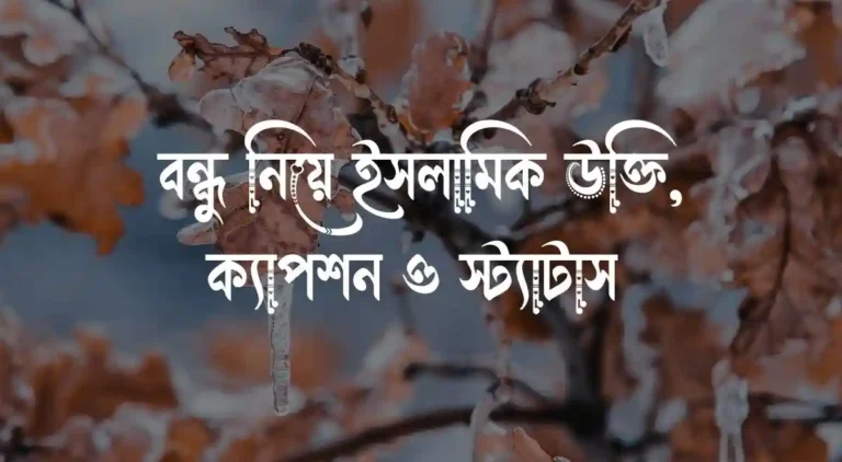 বন্ধু নিয়ে ইসলামিক উক্তি, ক্যাপশন ও স্ট্যাটাস (1)