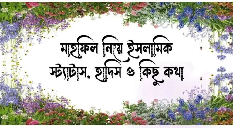 মাহফিল নিয়ে ইসলামিক স্ট্যাটাস, হাদিস ও কিছু কথা