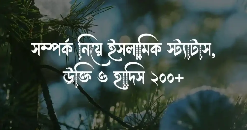 সম্পর্ক নিয়ে ইসলামিক স্ট্যাটাস, উক্তি ও হাদিস ২০০+