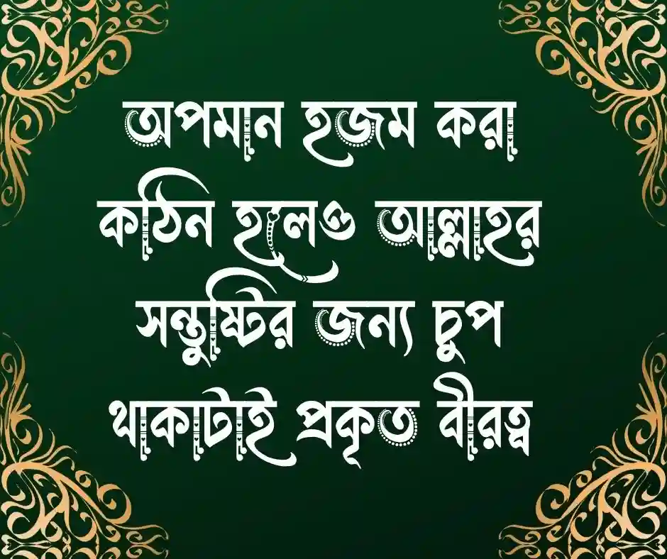 অপমান নিয়ে ইসলামিক উক্তি
