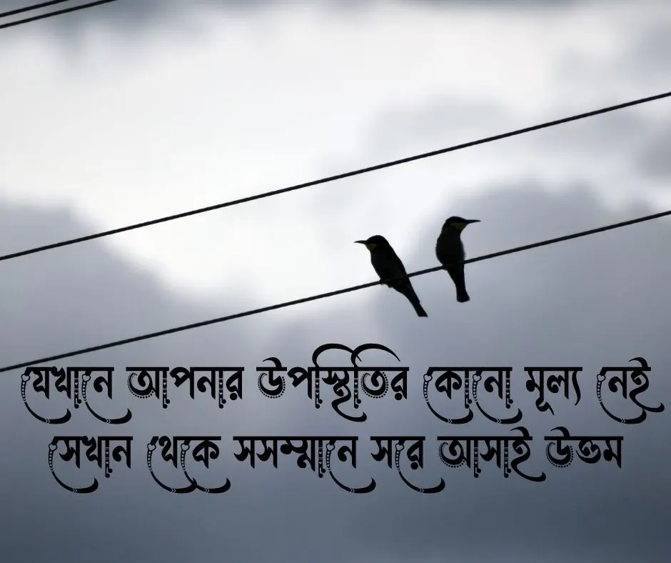 অবহেলা অপমান নিয়ে উক্তি