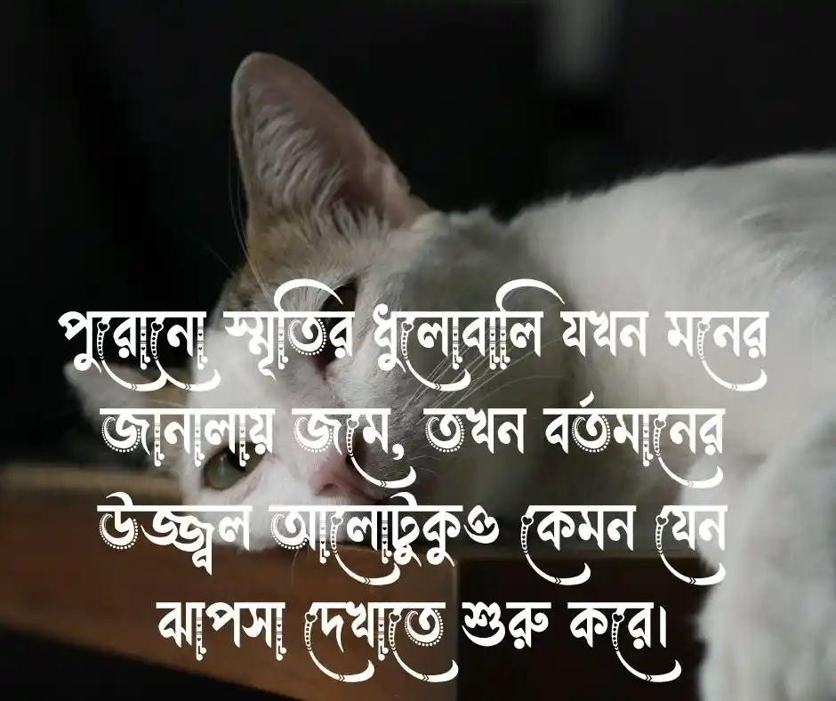ডিপ্রেশন নিয়ে কিছু কথা