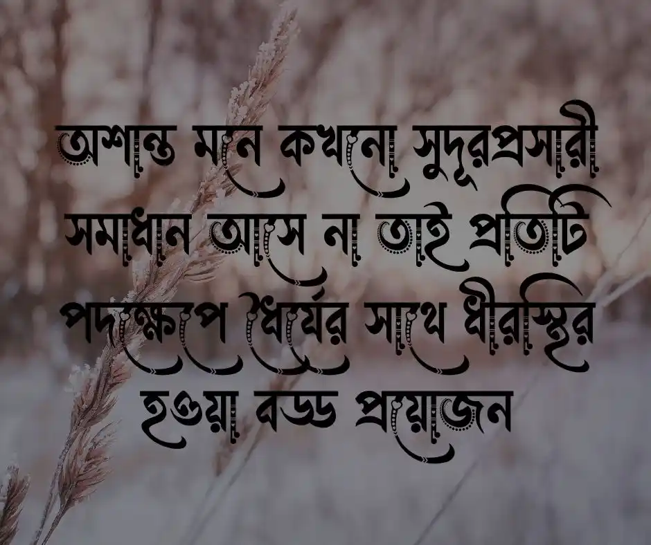  ধৈর্য পরিস্থিতি নিয়ে উক্তি